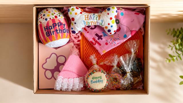 Dog Birthday Box | Party Kit for Dogs